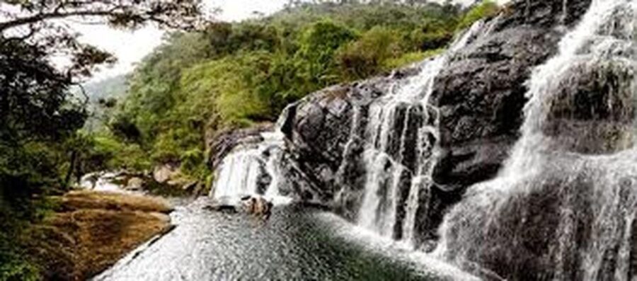 From Ella : Horton Plains National Park & Nuwaraeliya Tour