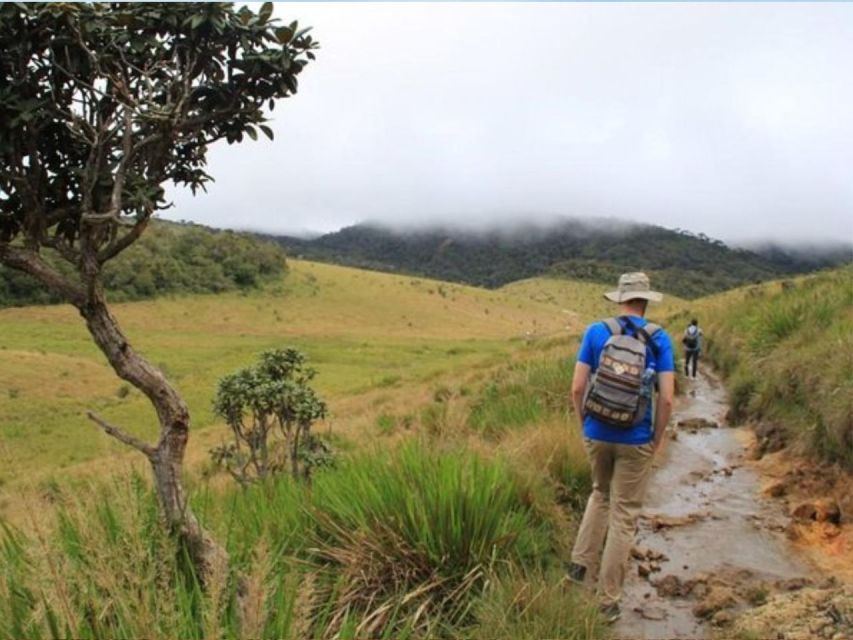 From Ella: Horton Plains Trekking & Tea Factory Visit - Tour Overview and Pricing