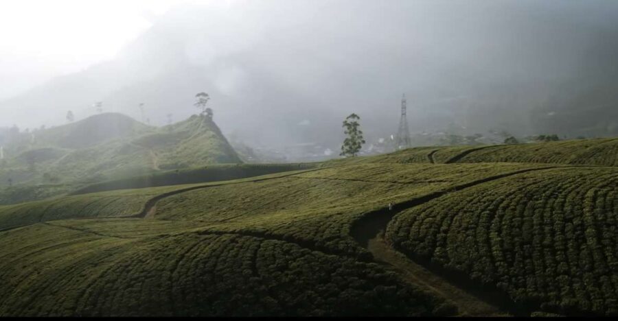 From Ella : Tours All Around Sri Lanka