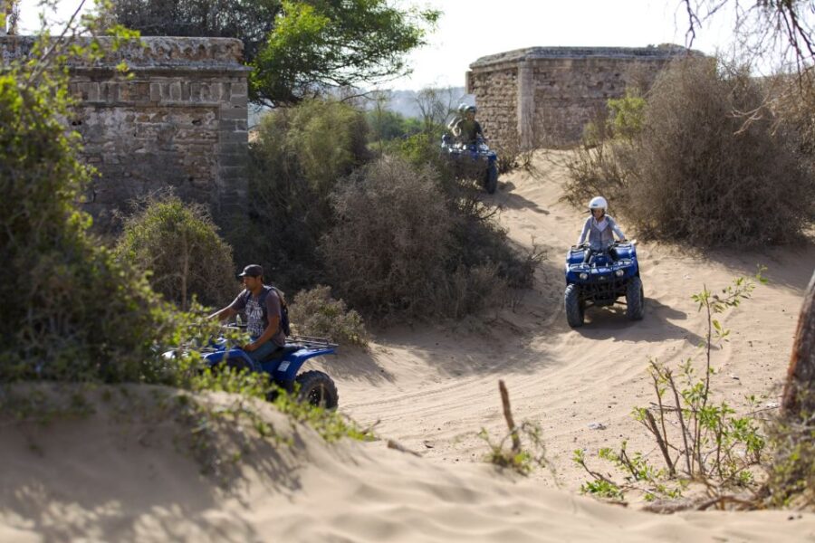 From Essaouira: Beachside Quad Bike Tour With Transfer