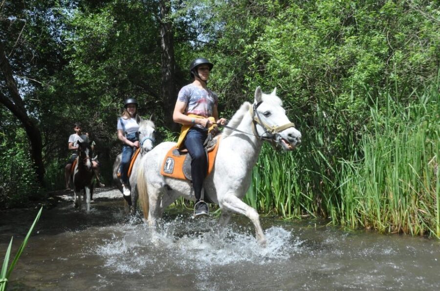 From Fethiye: Horse Riding Adventure - Activity Overview