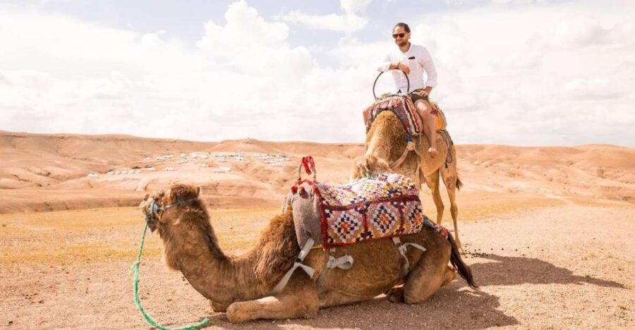 From Fez: Sahred 3 Days and 2 Nights to Marrakech