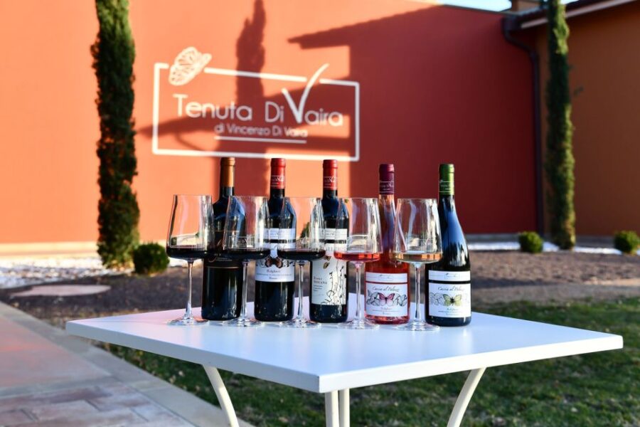 From Florence: Bolgheri Full Day Wine Tour - Tour Overview