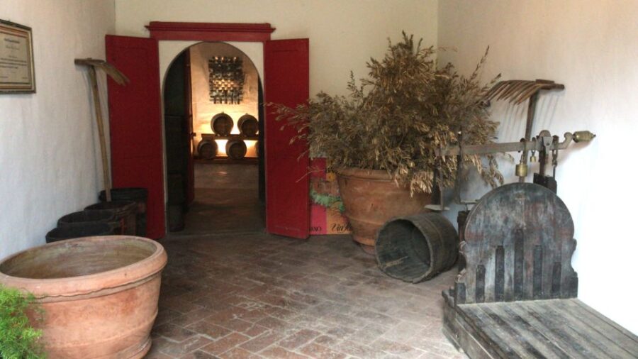 From Florence: Carmignano Half-Day Wine and Food Tour - Tour Overview