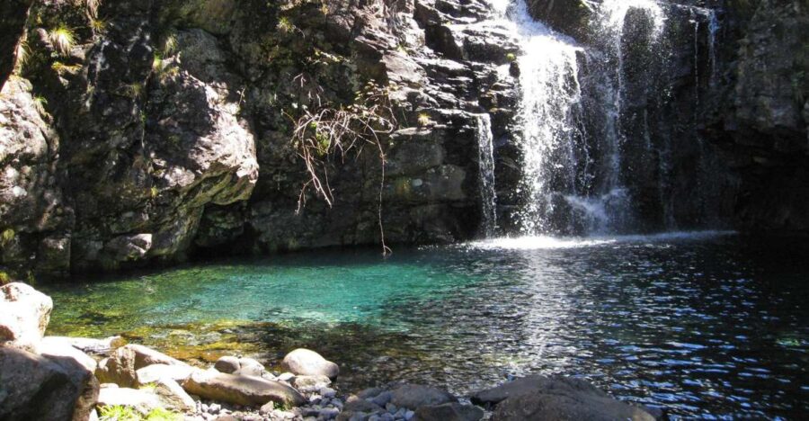 From Funchal: Madeira Lakes Levada Guided Hike - Tour Overview and Pricing