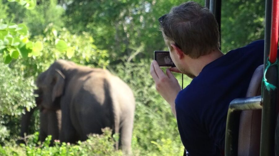 From Galle or Mirissa: Yala Safari With Lunch at Campsite