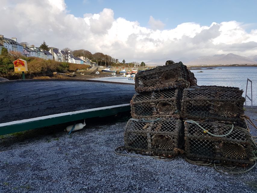 From Galway: Connemara and Kylemore Abbey Day Tour - Tour Overview and Pricing