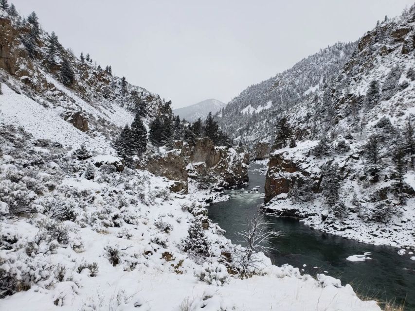 From Gardiner: Guided Yellowstone Cross-Country Skiing Tour