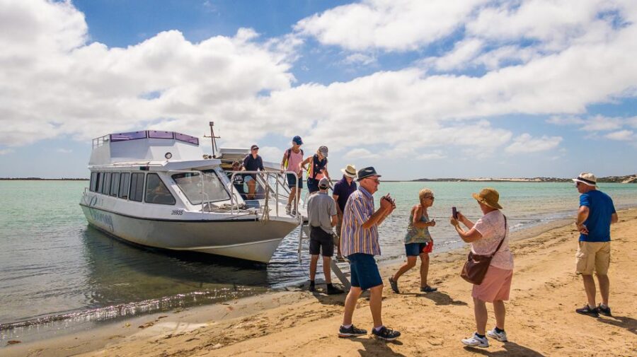 From Goolwa: Half-Day Coorong Experience - Activity Overview