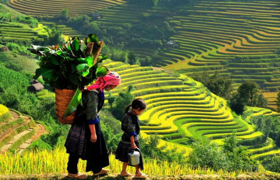 From Hanoi: 2-Day Trekking to Villages in Sapa With Homestay - Tour Overview