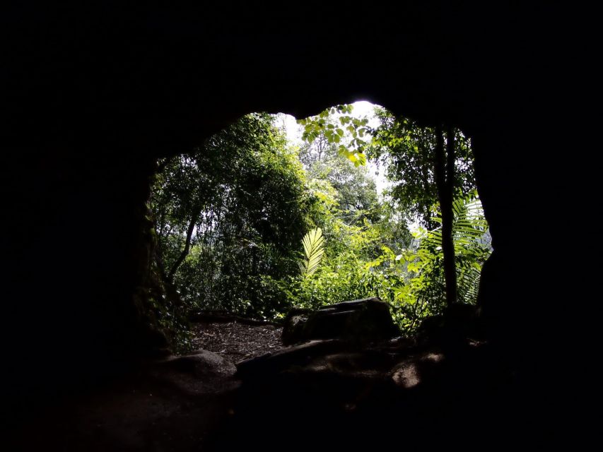 From Hanoi: Cuc Phuong National Park