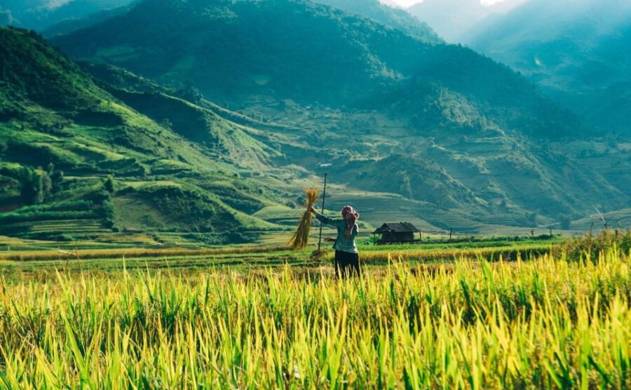 From Hanoi: Sapa 2 Days 1 Night Trek, Overnight at Hotel