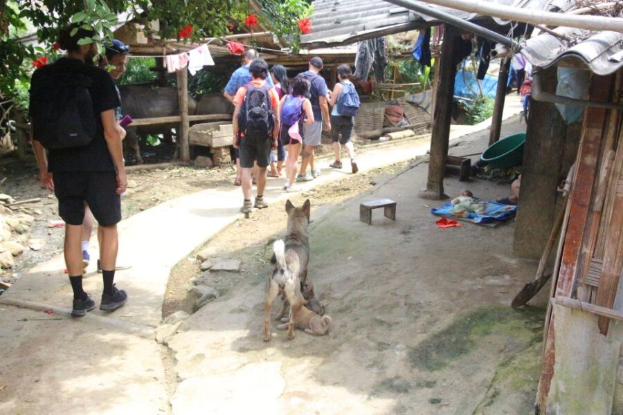 From Hanoi: Sapa 3 Days 2 Nights With Trekking Village - Tour Overview