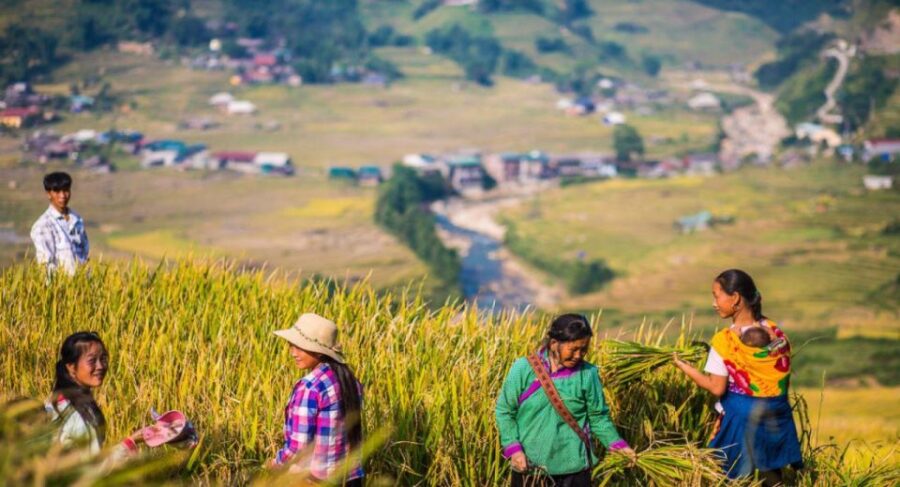 From Hanoi: Trek and Stay: 3-Day Sapa Highlands Adventure - Trip Overview