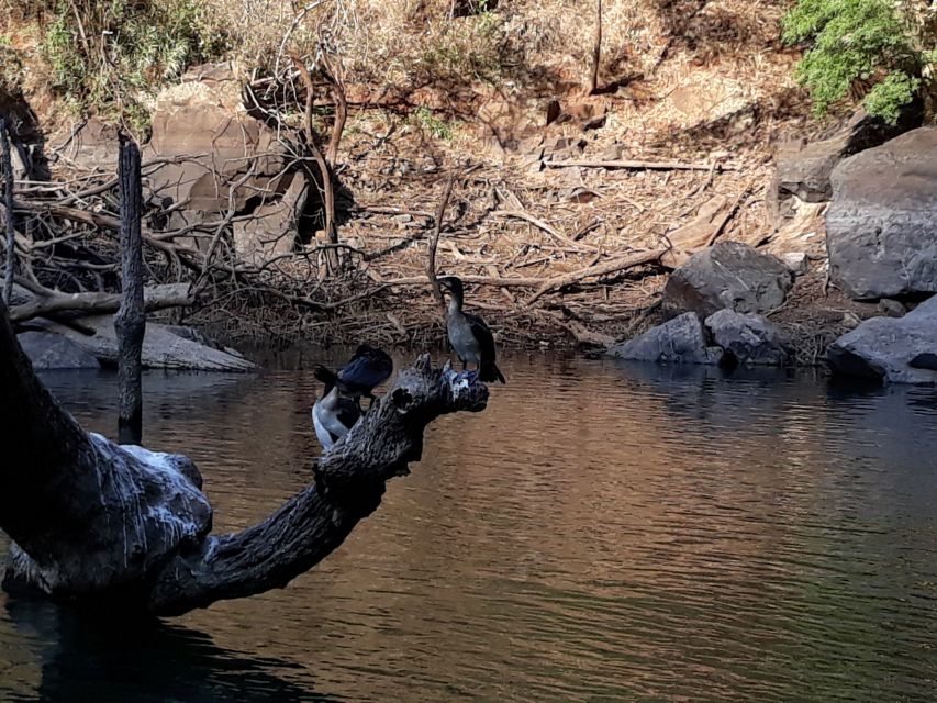 From Hazyview: Blyde River Canyon Highlight & Boat Cruise - Tour Details and Pricing