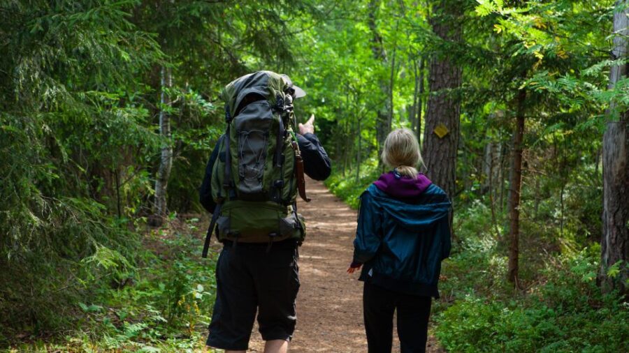 From Helsinki: Berry Picking Day Trip in a National Park - Liesjärvi National Park Exploration