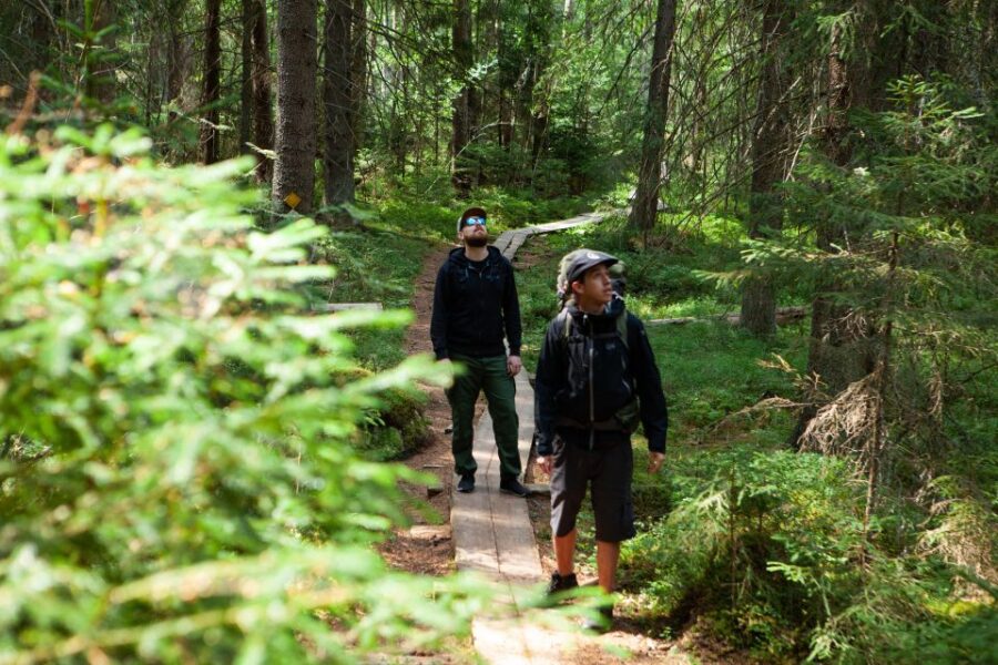From Helsinki: Magical Taiga Hike in Liesjärvi National Park - Booking and Cancellation