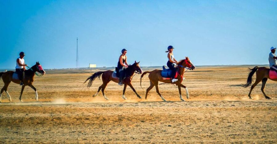 From Hurghada: Red Sea Sunrise and Desert Horseback Riding - Activity Overview