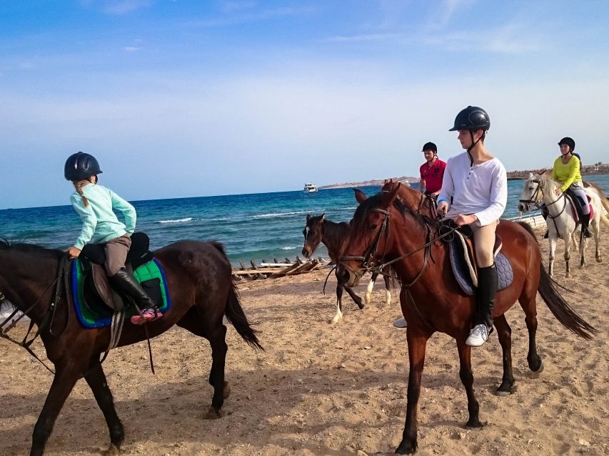 From Hurghada: Red Sea Sunrise and Desert Horseback Riding - Experience Overview