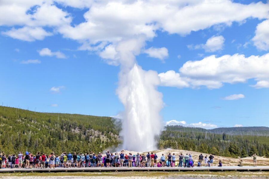 From Jackson: Yellowstone Day Tour Including Entrance Fee