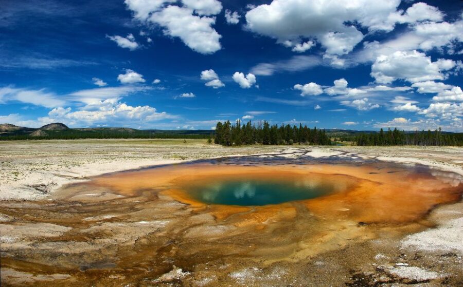 From Jackson: Yellowstone National Park Day Trip With Lunch