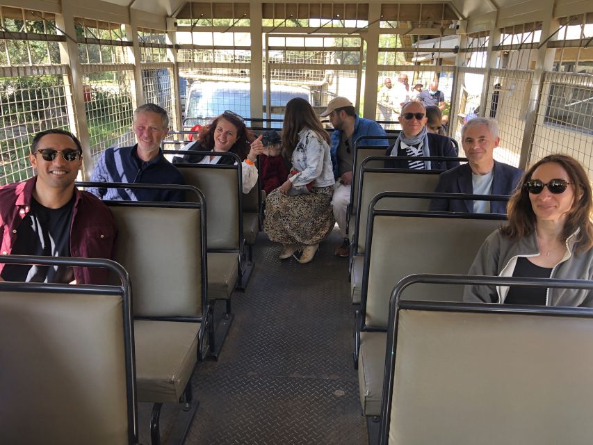 From Johannesburg: Cradle of Humankind and Lion Safari