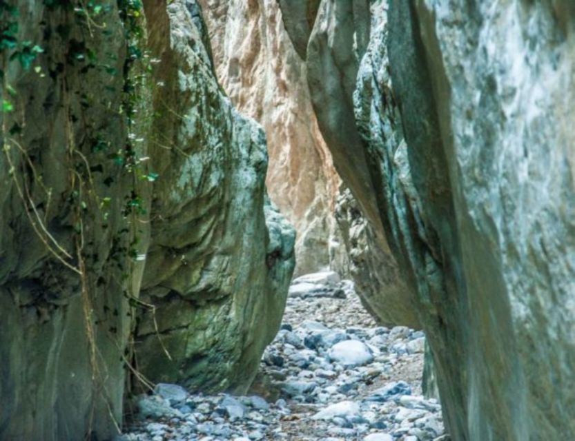 From Kalamata: Ridomo Gorge Hiking Tour With Greek Coffee - Tour Overview and Pricing