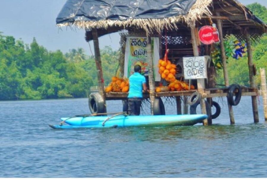 From Kalutara: Madu River Safari & Turtle Hatchery Visit - Activity Overview