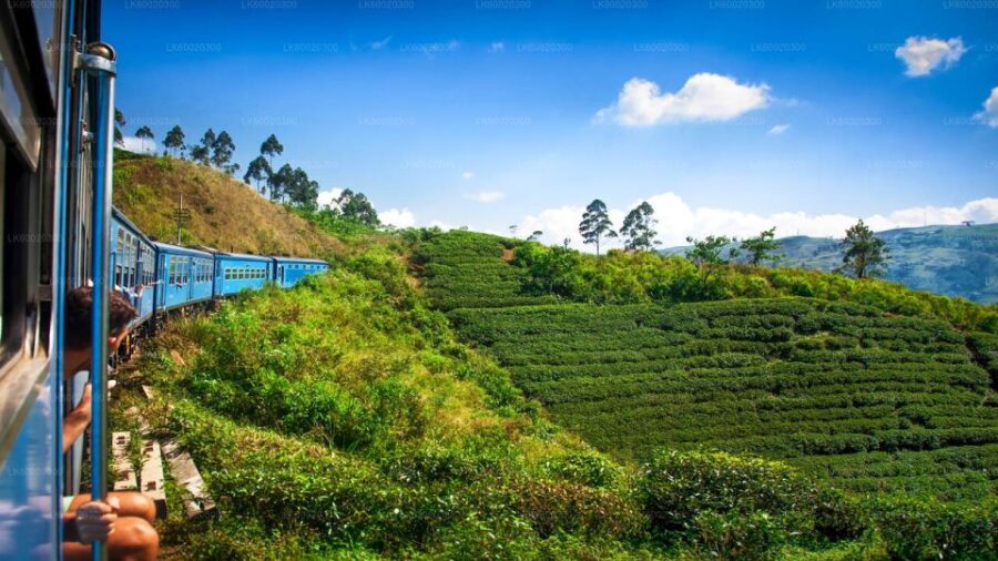 From Kandy: Nuwara Eliya by Train