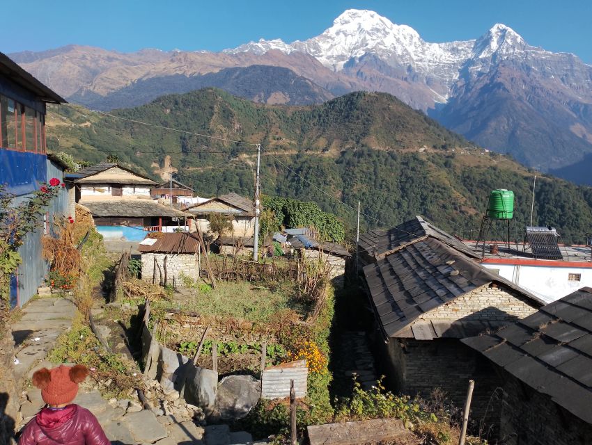 From Kathmandu Buget: 7 Day Mulde View Point & Poonhill Trek - Trek Overview