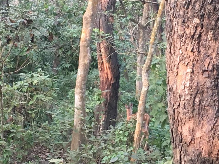 From Kathmandu or Pokhara: 1 N.2 Day Chitwan Wildlife Tour - Tour Overview