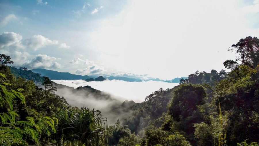 From Khao Lak: Day Trip to Khao Sok With Elephant Camp Visit