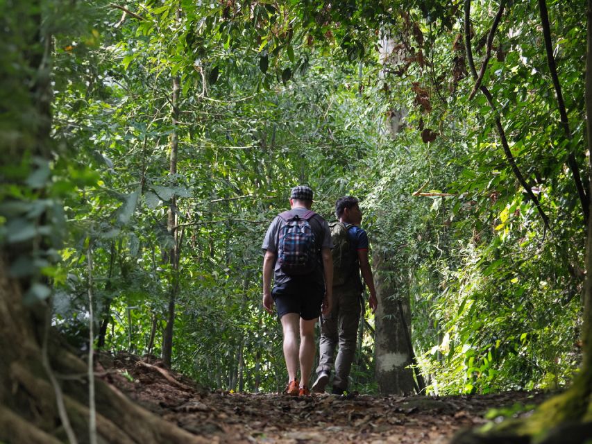 From Khao Lak: Khao Sok Jungle Hike & River Tour - Tour Overview