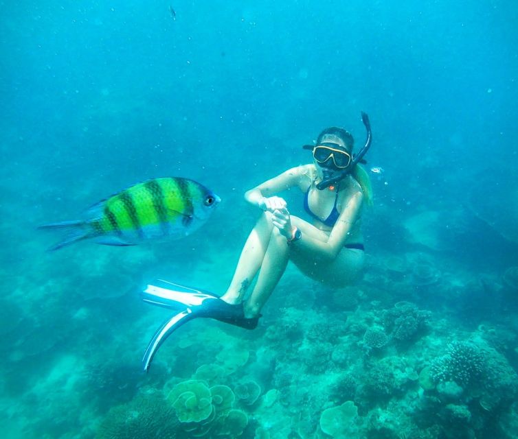 From Koh Tao: Sightseeing Tour With Snorkel by Private Car