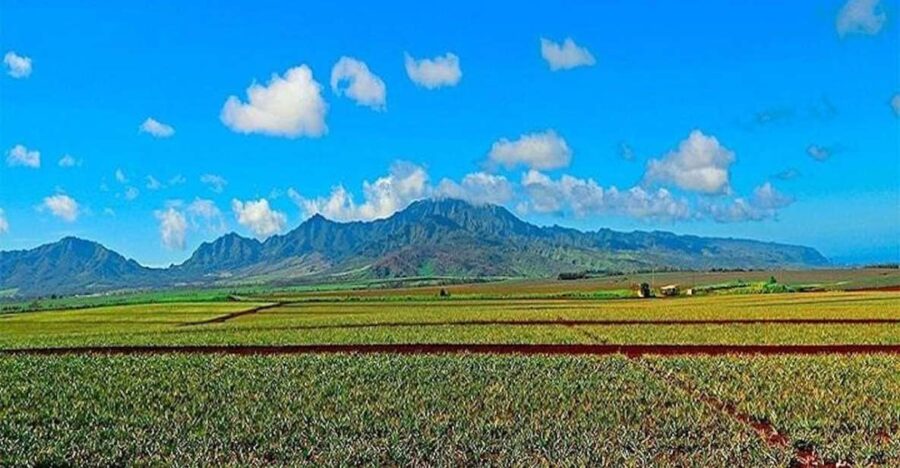 From Kona: Oahu Grand Circle Island Experience
