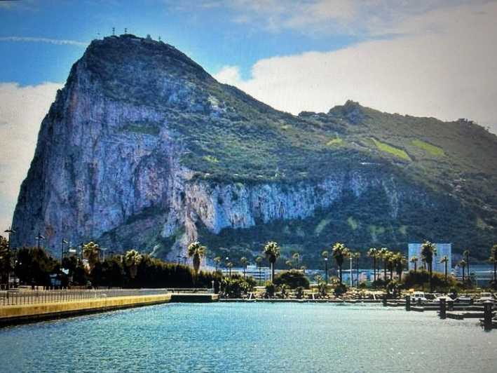 3 Best Shopping Tours In Marbella