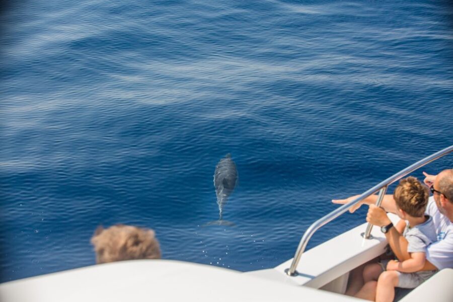 4 Best Tours In Kavos