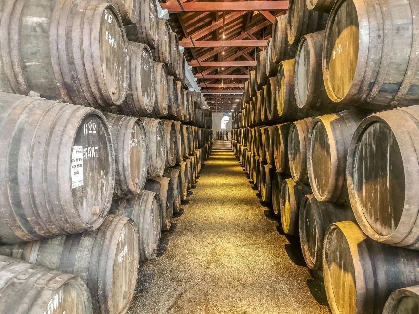 From Lisbon: Discover the Charm of Douro Valley - Tour Overview