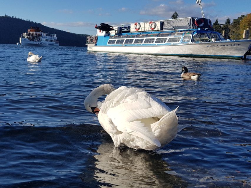 From Liverpool: Lake District Sightseeing Adventure Day Trip