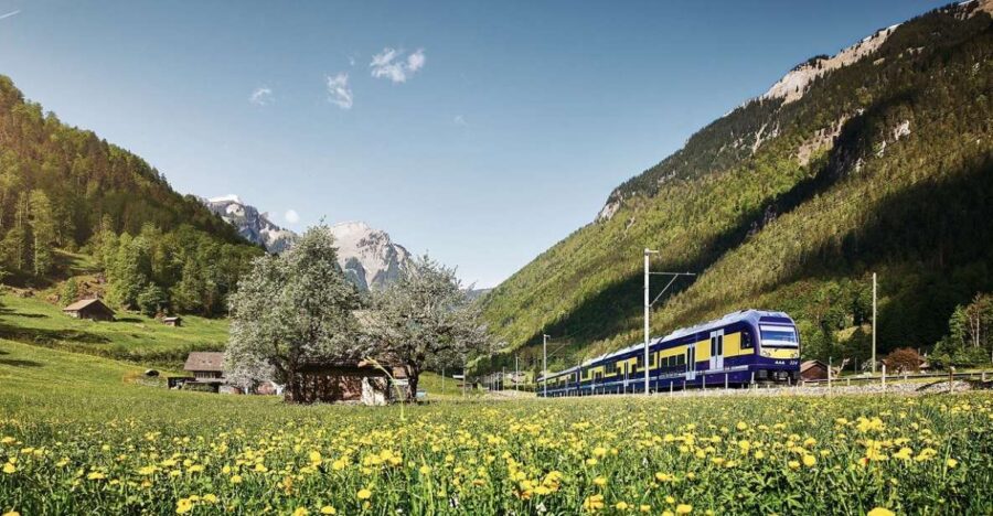 From Lucerne: Day Trip to Grindelwald and Interlaken