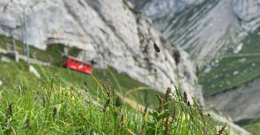 From Lucerne: Mt. Pilatus and Lake Lucerne Private Tour