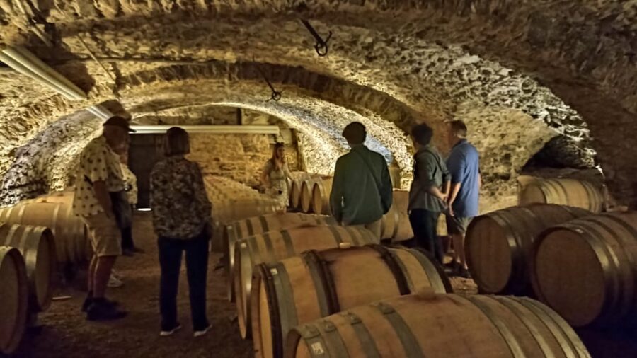 25 Best Wine Tours In Lyon