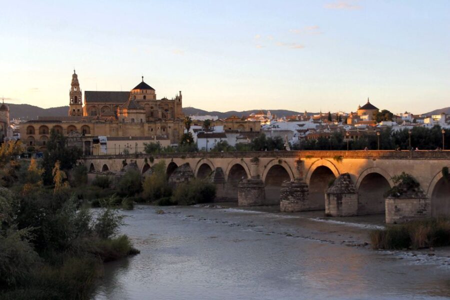 From Málaga: Córdoba Mosque Cathedral Guided Tour - Tour Overview