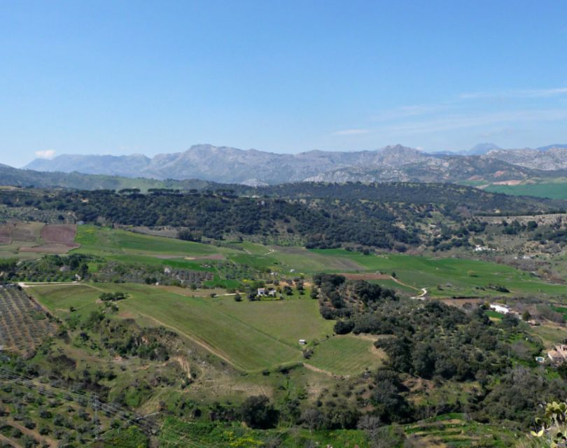 From Malaga: Private Transfer Malaga Airport to Estepona - Views Along the Way