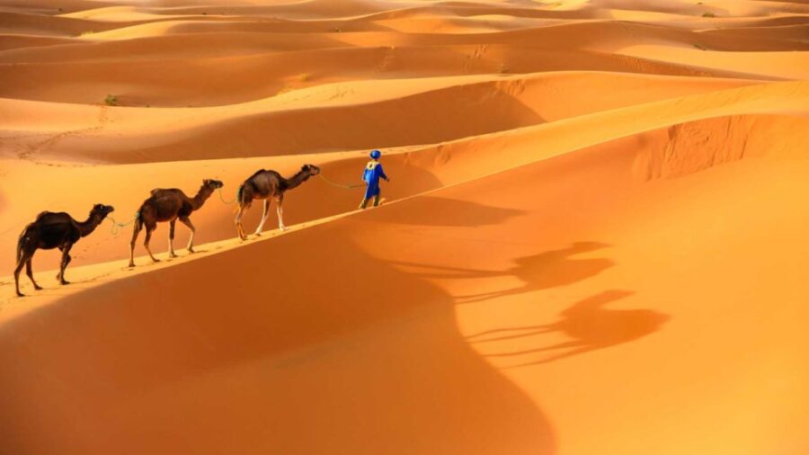 From Marrakech : 4 Days Private Desert To Zagora & Merzouga