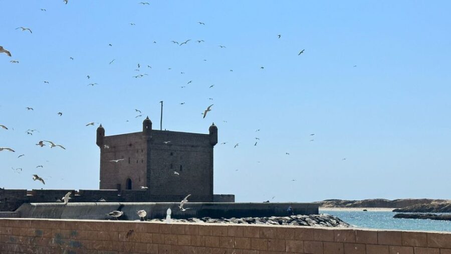 From Marrakech: Essaouira Full-Day Trip With Wine & Lunch - Trip Overview