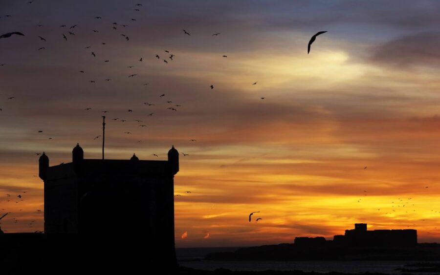 From Marrakech: Full-Day Private Trip to Essaouira