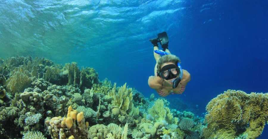 From Marsa Alam: Marsa Mubarak Sea Snorkeling Boat Trip