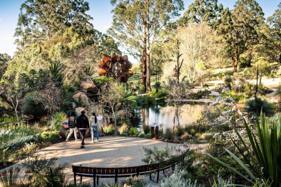 From Melbourne: Dandenong Ranges Private Day Tour