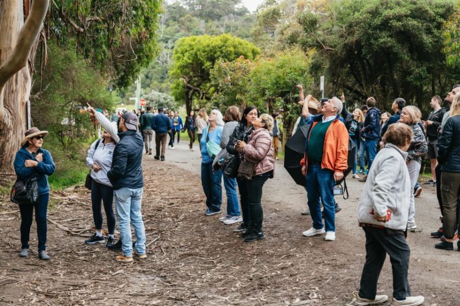 From Melbourne: Great Ocean Road Full-Day Trip - Tour Overview